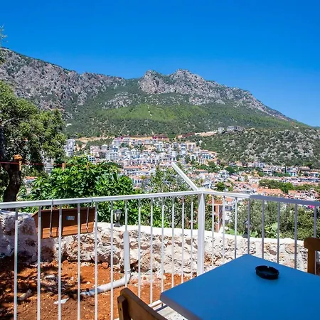 Nergis * Kaş