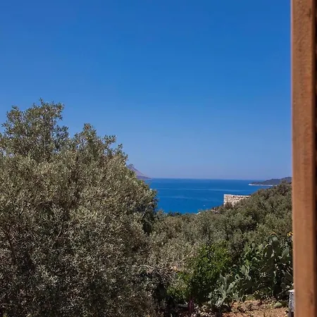 Nergis * Kaş